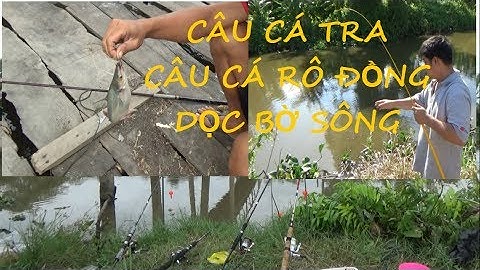 CÂU CÁ TRA, CÁ RÔ ĐỒNG DỌC THEO BỜ SÔNG THẬT THÚ VỊ - FISHING (Pou Phung)