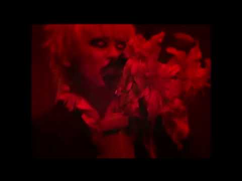 Dir En Grey - 脈 Fan made Live edit