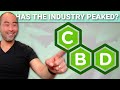Watch This Before You Start A CBD Supplement Company..
