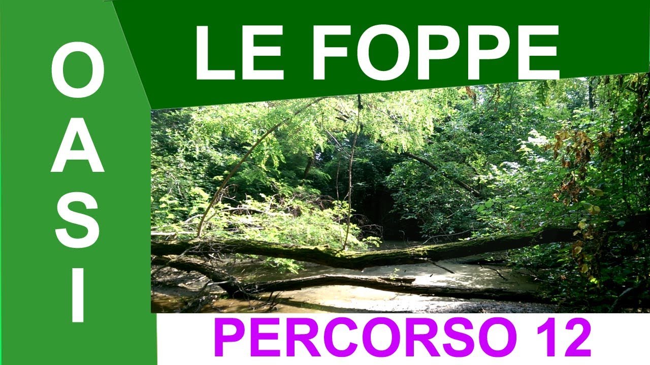 PERCORSO 12: VI PORTO ALL' OASI DELLE FOPPE!!