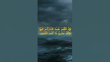 سورة البقرة اية 72 - مع صوت البحر بصوت جميل - وَإِذْ قَتَلْتُمْ نَفْسًا فَادَّارَأْتُمْ