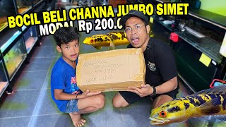 UNBOXING DEAD? BOY DESPERATELY BUY CHANNA JUMBO SIMET Rp 200,000 FROM KLATEN