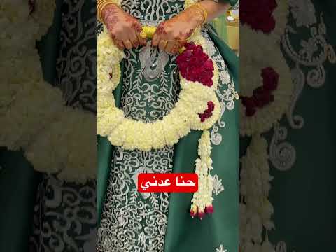 اجمل حناء عدني في عرس يمني روعة التراث العدني في تفاصيل العرس اعراس يمنية