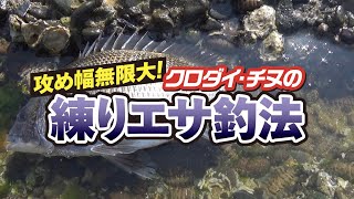 攻め幅無限大! クロダイ・チヌの練りエサ釣法