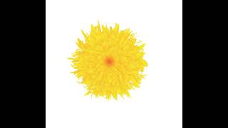 Stunning Yellow Flower Vector Design | Adobe Illustrator Speed Art