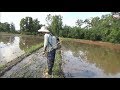 Ra đồng xiệc ( Chích điện ) bắt cá mùa nước cạn | Catch fish in shallow season