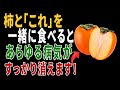 柿と一緒に食べれば薬より良い食材3つ！秘伝レシピ2選と相性の悪い食材まで完全解説｜高齢者の健康