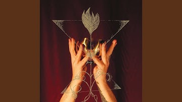 The Tunnel at the End of the Light