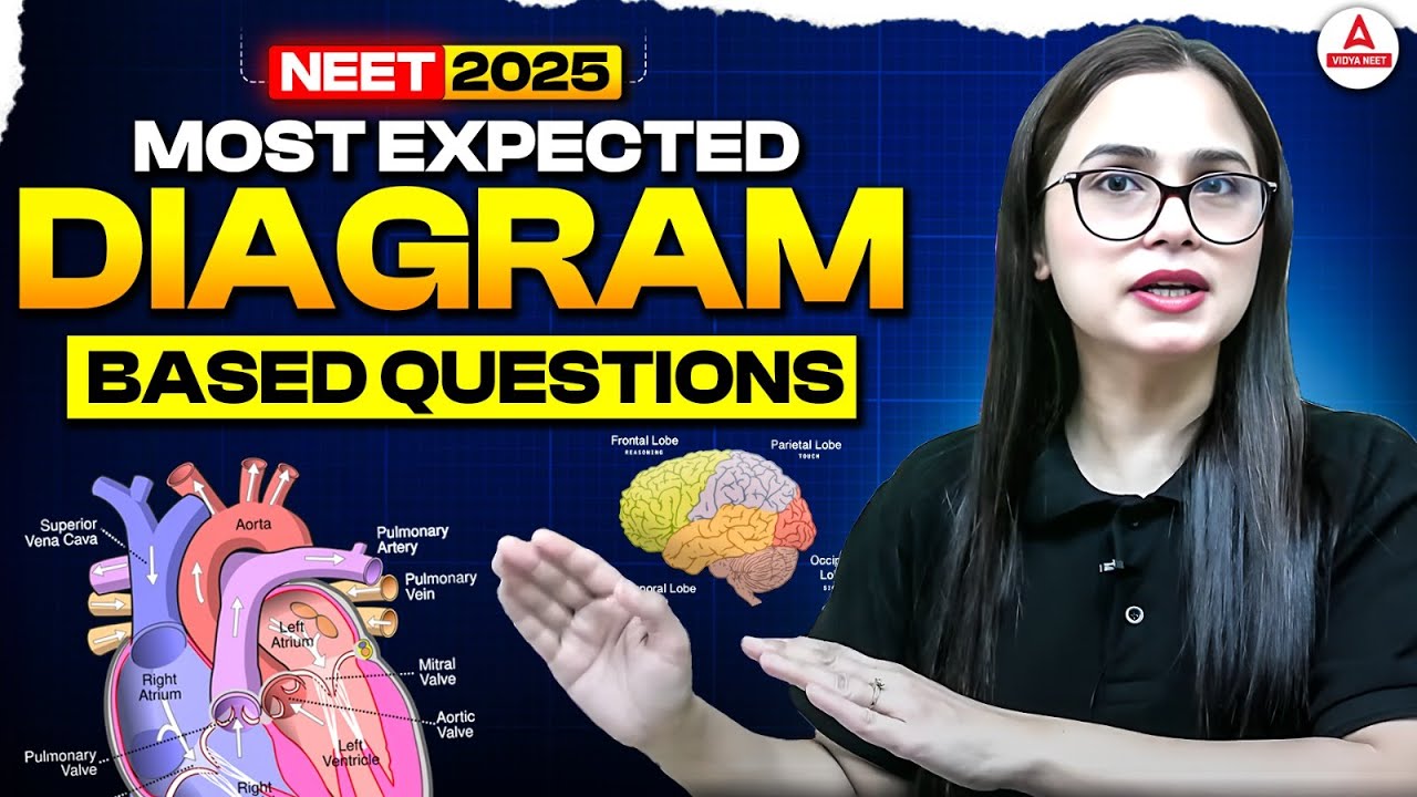 NEET Biology Most Expected Diagram Questions | NEET 2025 Biology One ...