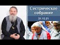 Идти, не сбиваясь с пути. Сестрическое собрание с о. Андреем Лемешонком 31.10.2021