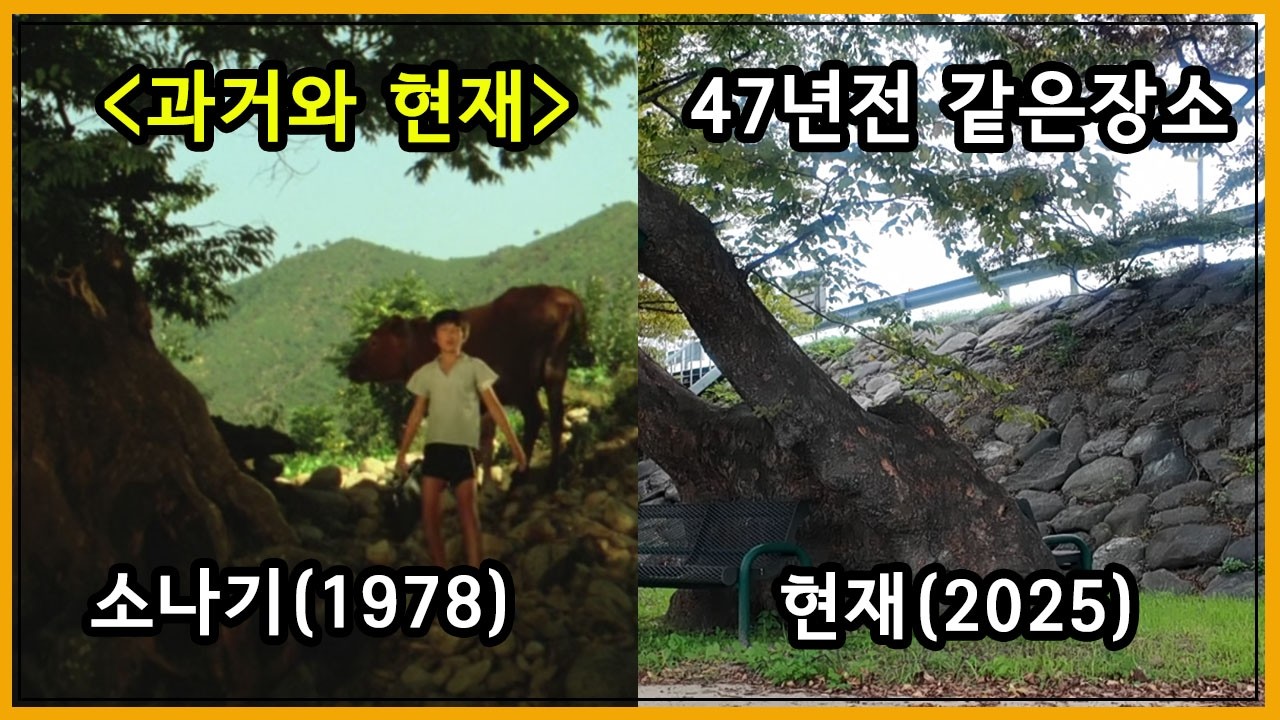 영화 소나기(1979) 촬영지 46년이 지난 현재 모습은?