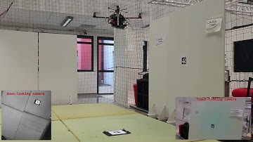 Motor and Perception Constrained NMPC for Torque-controlled Generic Aerial Vehicles