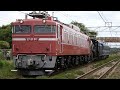 【配給輸送】 EF81-81+C58-239+オヤ12-1 矢板駅停車