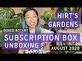 Hirt's Gardens Houseplant Subscription Unboxing | August 2020 Boxed Botany