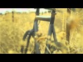 Fixed Gear Winter Nature Scenery - Elk Grove Sacramento California [Ambient Music HD]