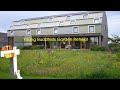 Young buddhists garden retreat in the netherlands 2 minutes