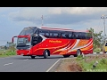 ★Full Review Putera Mulya SDD2 Double Decker Scania K410ib