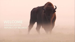 Добро пожаловать в Гродненскую область! / Welcome to Grodno region of Belarus!