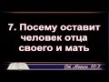 06 02 2016 Нефедов Евгений - Брак, развод, причины и последствия.