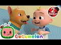 Where is Bingo Hiding!?🐶 | Animals for Kids | Animal Cartoons | Funny Cartoons | Learn about Animal