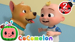 Where is Bingo Hiding!? | Animals for Kids | Animal Cartoons | Funny Cartoons | Learn about Animal