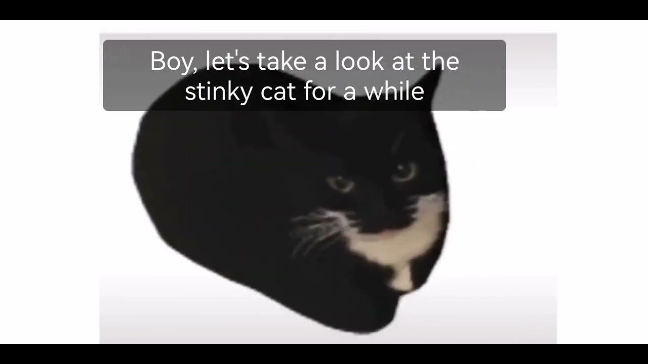 I really like stinky cats YouTube