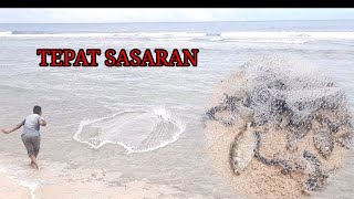 TERNYATA AIR LAUT SEPERTI INI IKAN BARONANG BERKUMPUL.