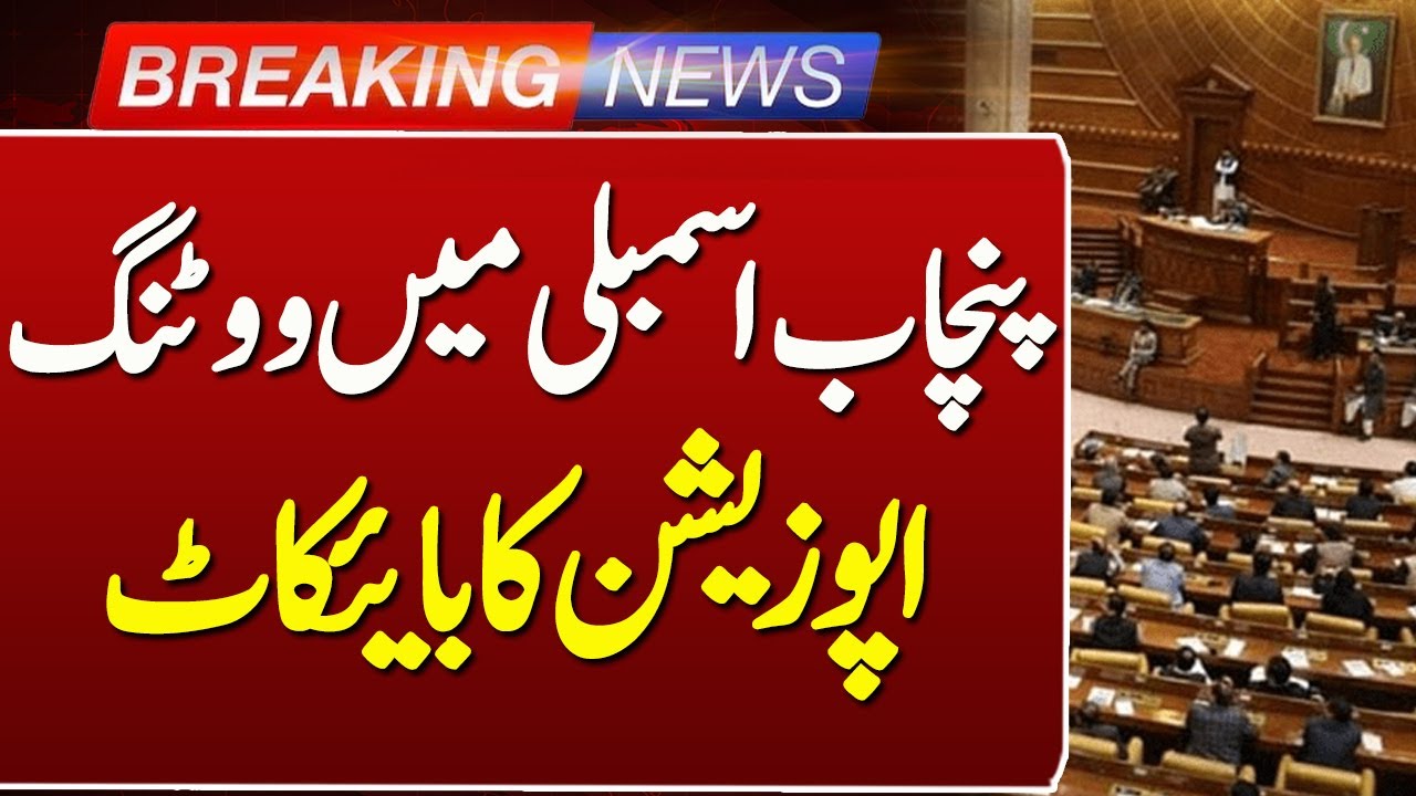 Chaos in Punjab Assembly During Session | Political Drama Unfolds | Breaking News | Such News