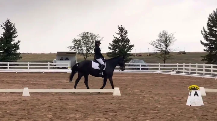 USEF 2022 Novice Test A