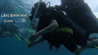 Tham Gia Lặn Bình Khí Tại Côn Đảo Cùng 𝗔𝗺𝗮𝗱𝗶𝘃𝗲 Let Go Scuba Diving In Con Dao With 𝗔𝗺𝗮𝗱𝗶𝘃𝗲
