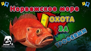 ◦ Охота за трофеями! ◦ level ◦ Русская рыбалка 4 ◦🎣👍🐬