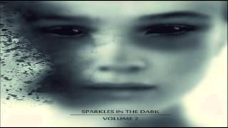 Double Echo - Never Again