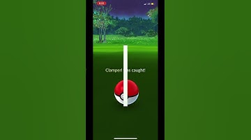 Got my first shiny clamperl ✨🥳