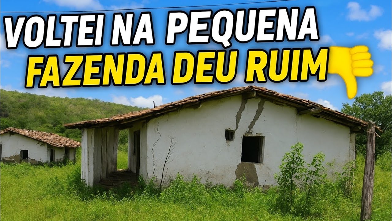 VOLTEI NA PEQUENA FAZENDA DEU RUIM !!!