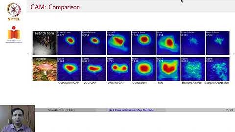Explaining CNNs: Class Attribution Map Methods