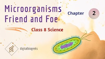 Microorganisms - Friend and Foe Full Chapter - Class 8 Science | Chapter 2 | NCERT