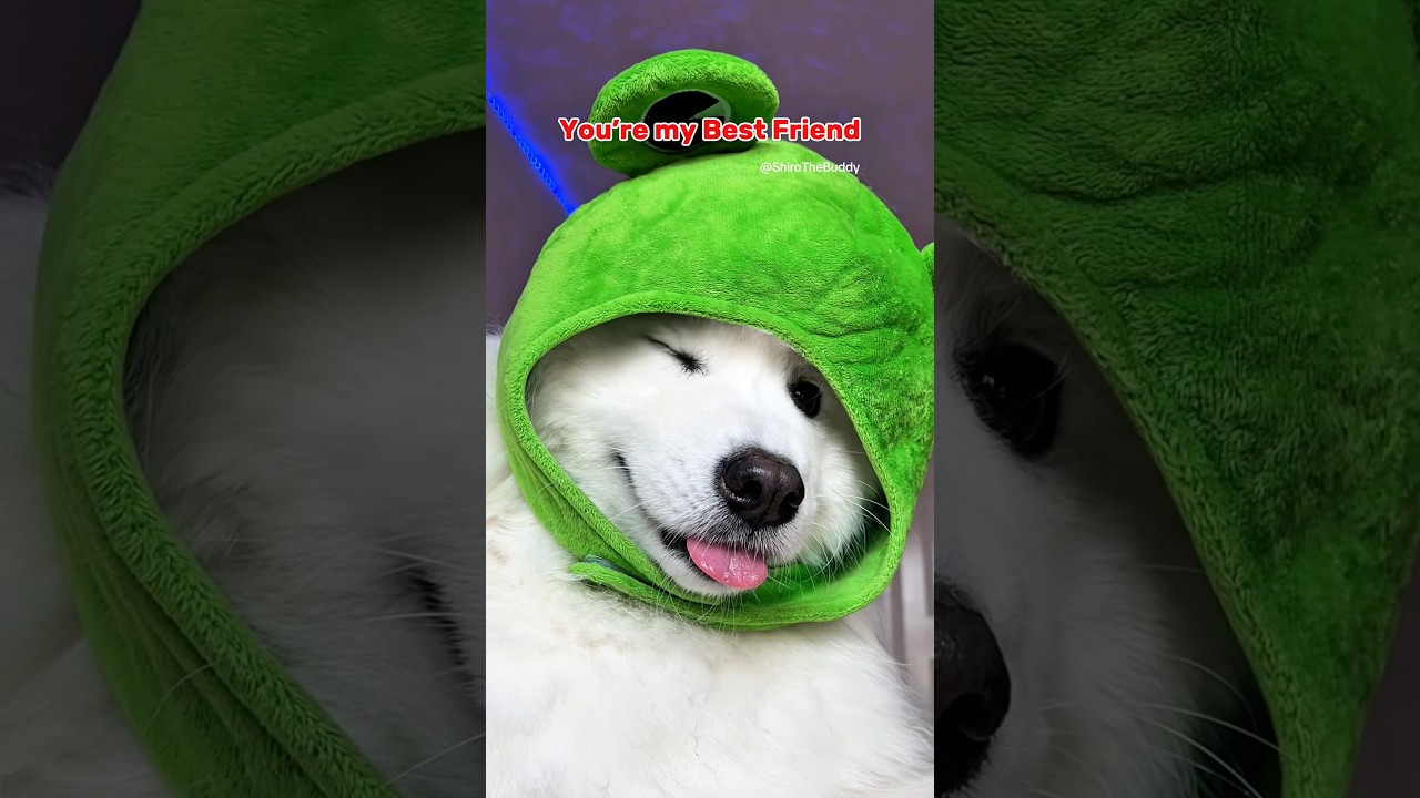 Ты мой ✨ЛУЧШИЙ ДРУГ✨ib:henrymoodie 