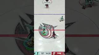 Best Chel Defenseman In Eashl