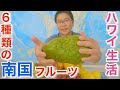 ハワイ島の美味いフルーツ６種類でスムージー作ったら、臭かった？！【ハワイ】