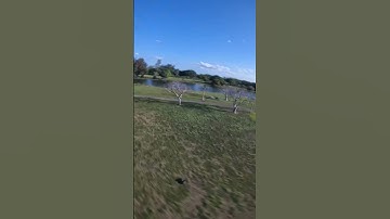 Trying To Follow A RC Car With Fpv Drone #fpvdrone #fpv #drone #dronevideo #gopro #fpvfreestyle