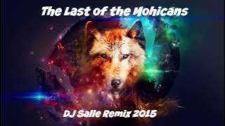 The Last of the Mohicans (DJ Salle Remix)