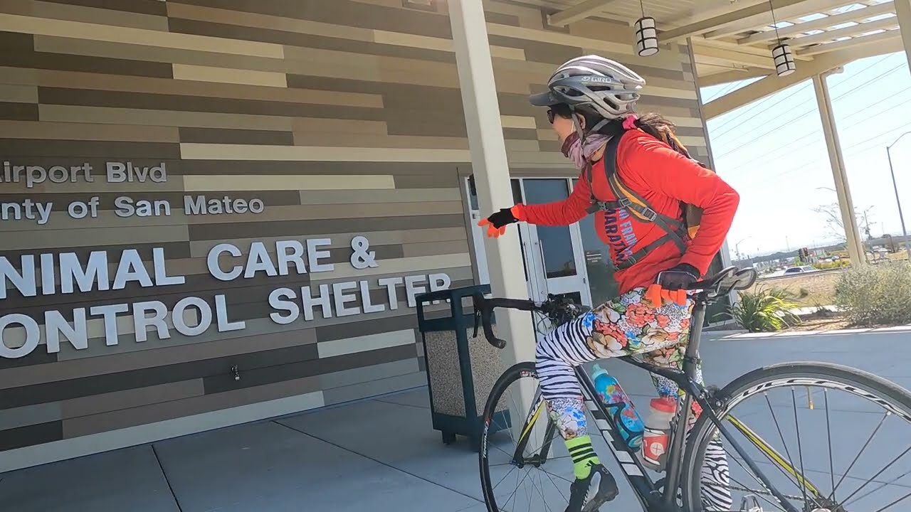 Animal care Shelter @ 12 Airport Blvd San Mateo County California