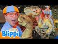 Blippi Explores Jurassic Quest! 🦖