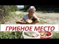 Грибные места Анапы для переселенцев из Сибири