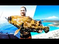 Flooded In With Limited Food 3 DAYS LIVING FROM THE OCEAN (Amazing Baby Turtles) - Ep 279