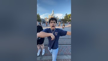 KITTY CAT🐈🐈‍⬛🐈.                                    #fyp #foryoupage #explorepage #trending