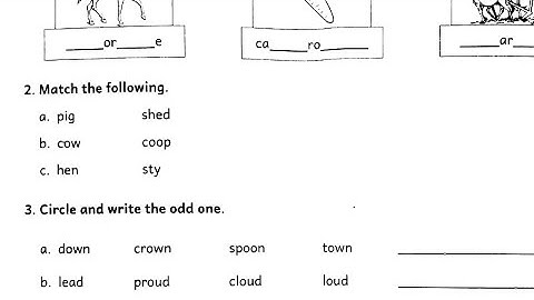 2nd std english annual exam question paper /2nd syd term 3 exam question paper