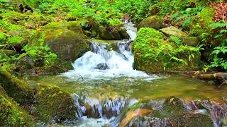 4K HDR Spectacular waterfall flowing in mountain forest.  The relaxing sound of mountain stream.