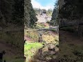 Cragside House and bridge. 25 April 2026.