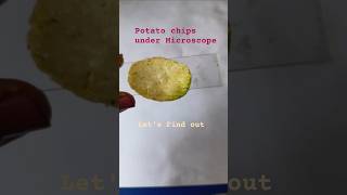 The Chips under the Microscope #shorts #microscope #experiment #biology #facts #science